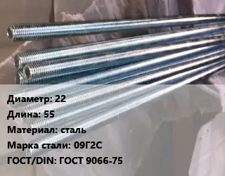 Шпилька стальная 22 L=55 сталь Сталь: 09Г2С ГОСТ: ГОСТ 9066-75